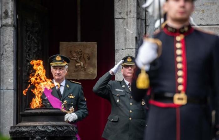 El rey Felipe conmemora el Armisticio al pie de la columna del Congreso en Bruselas (fotos)