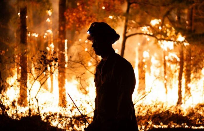 La sequía histórica alimenta las llamas en todo el noreste mientras los incendios forestales arden en ambas costas