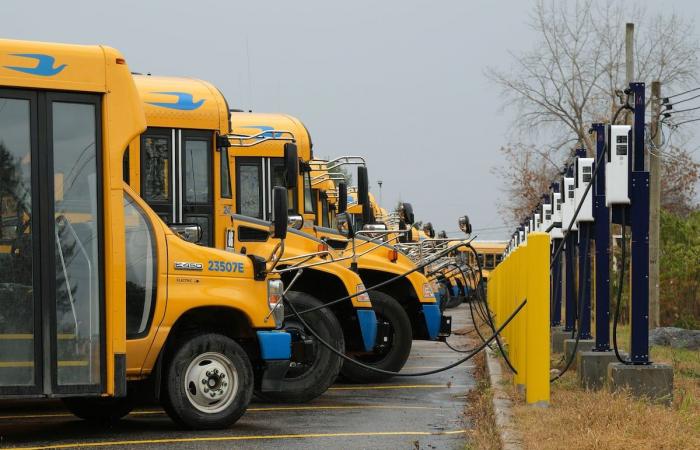 De dos a tres veces más caro para un viaje en autobús escolar