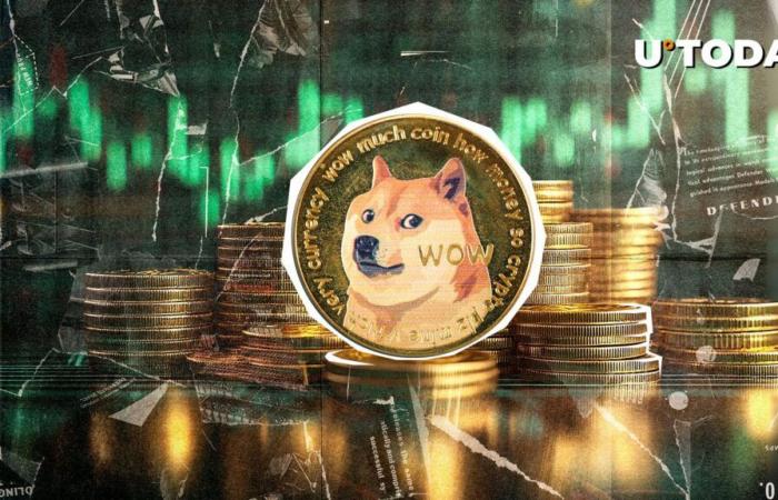 Dogecoin (DOGE) revela 4 consejos clave de supervivencia para inversores ahora mismo