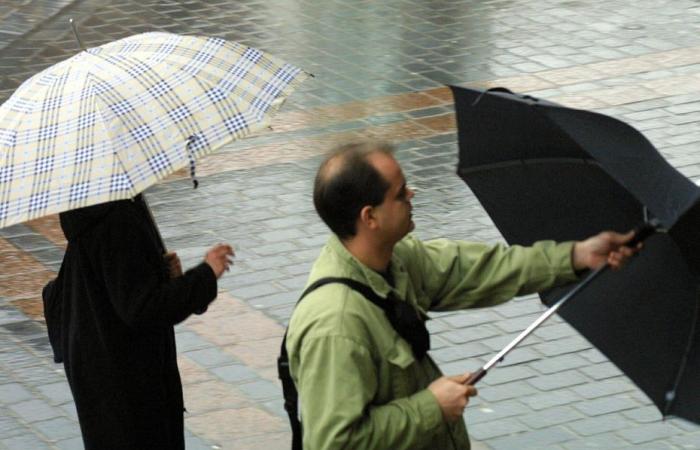 Informe meteorológico. ¿Cómo está el tiempo este martes 12 de noviembre en Alta Francia?