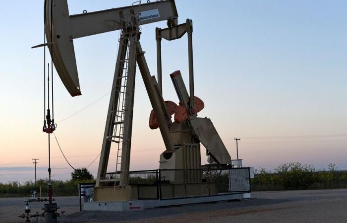 Petróleo | La OPEP revisa ligeramente a la baja el crecimiento de la demanda en 2024 y 2025