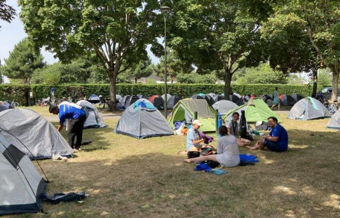 un año un poco menos dorado en el camping