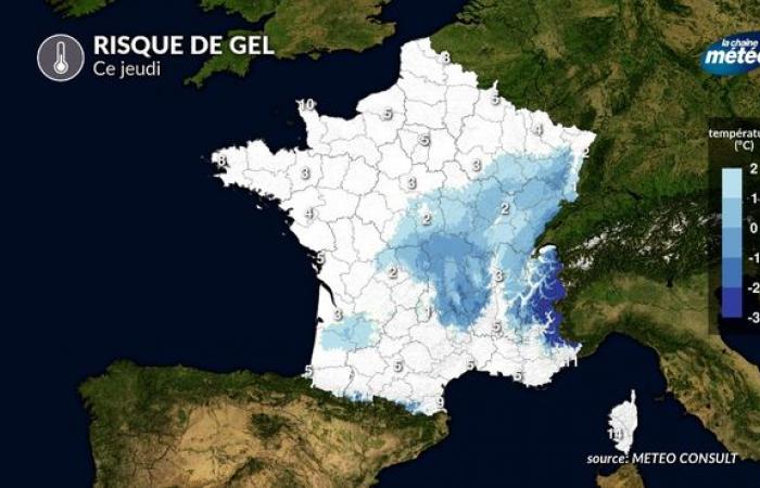 Primeras heladas tardías de esta semana: ¿qué regiones se verán afectadas?