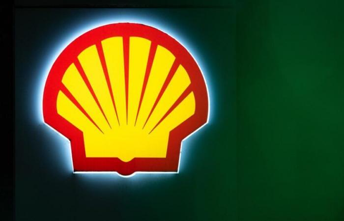 Las ONG rechazan la apelación en el caso climático contra Shell – rts.ch