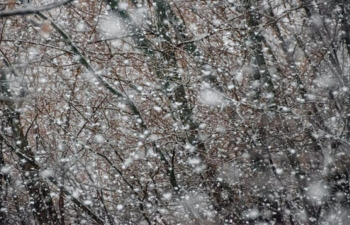 Regreso de la nieve a las montañas la próxima semana: ¿qué esperar?