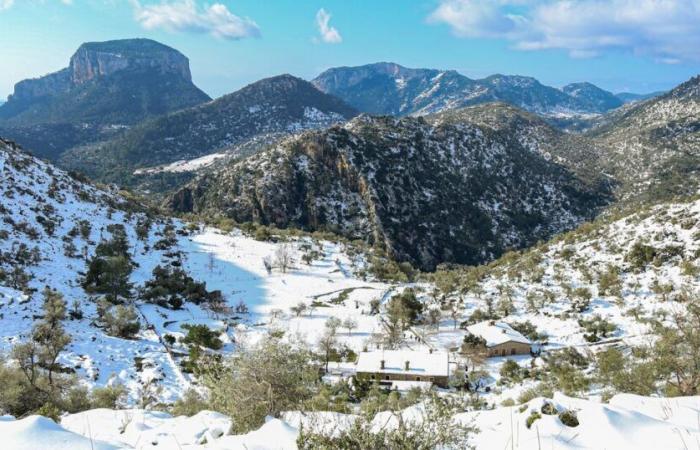 Mallorca se enfrenta a una rara advertencia de nieve mientras las Islas Canarias sufren una ola de calor de 35 ° C en noviembre | Mundo | Noticias