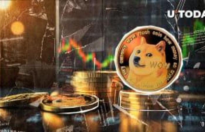 Dogecoin (DOGE) revela 4 consejos clave de supervivencia para inversores ahora mismo