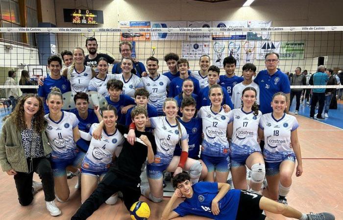 Castres. Voleibol: los Hornets continúan su fiesta en la Nationale 2