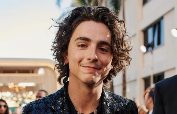 Timothée Chalamet dice que un agente le aconsejó “ganar peso” para triunfar en su debut