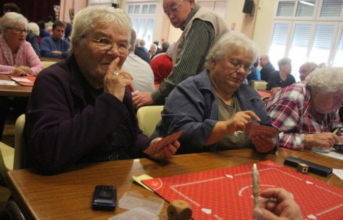 Sarthe y Mayenne. Competición de Belote ¿dónde jugar y cuándo?