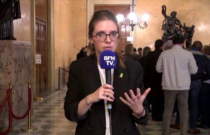 ¿Sébastien Delogu insultó a Aurore Bergé en medio de un debate en la Asamblea Nacional?