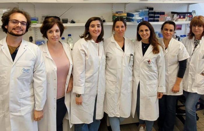 Investigadores de Niza logran un gran avance en la enfermedad de Charcot