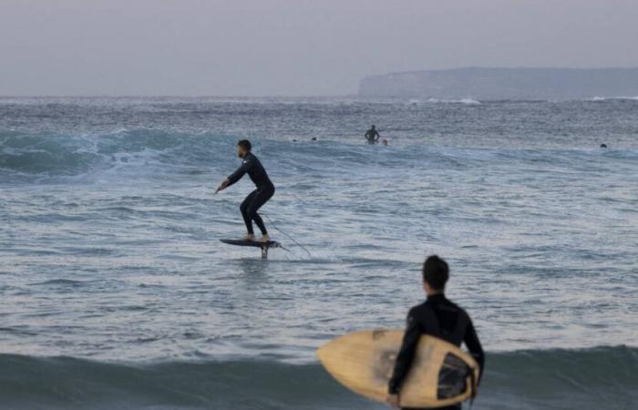 La iluminación de las tablas de surf podría prevenir ataques, según investigadores australianos – Libération