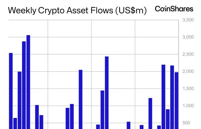 La mejor criptomoneda para comprar ahora el 11 de noviembre