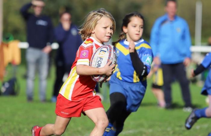 XIII torneo de la Liga de Rugby Jean Quaranta de Cahors: cuatrocientos niños en el festival de la liga de rugby