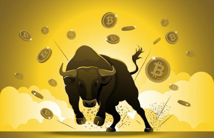 Los precios de Bitcoin alcanzan casi $90,000 durante un rally que derrite las caras