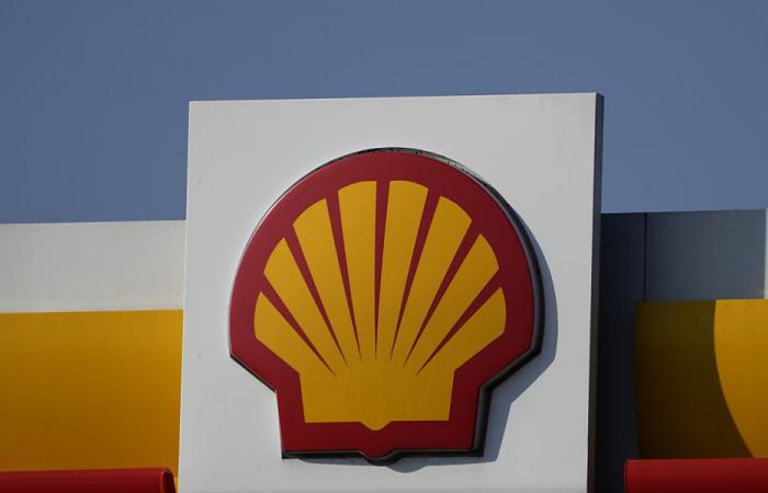 ONG rechazadas en apelación en caso climático contra Shell