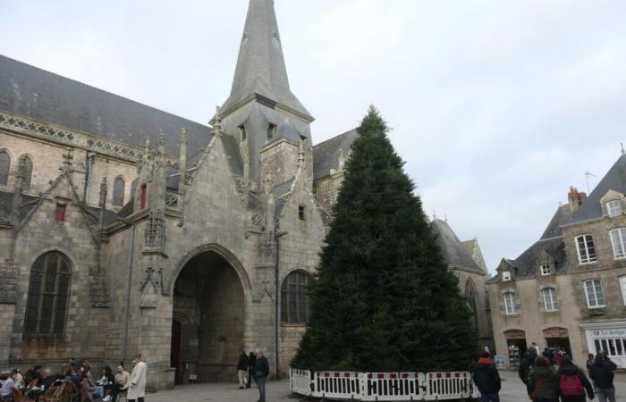 ¡En Guérande, el árbol de Navidad gigante ya está colocado!