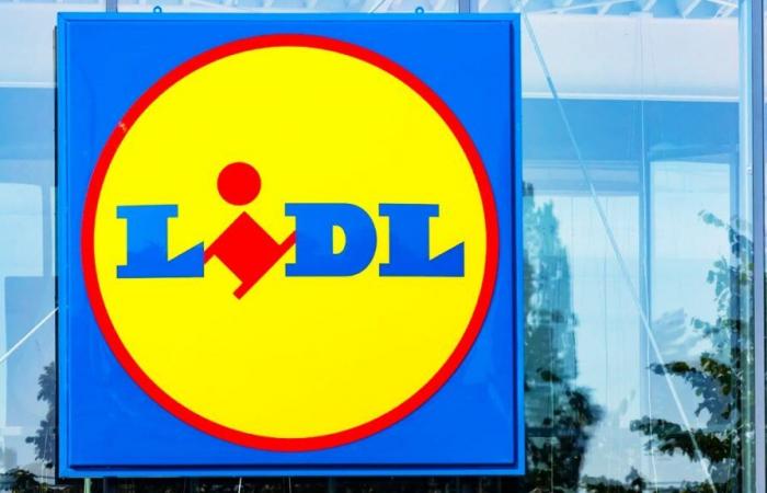 ¿Se acabó Lidl? Esta nueva tienda eclipsará a la marca alemana por sus bajos precios