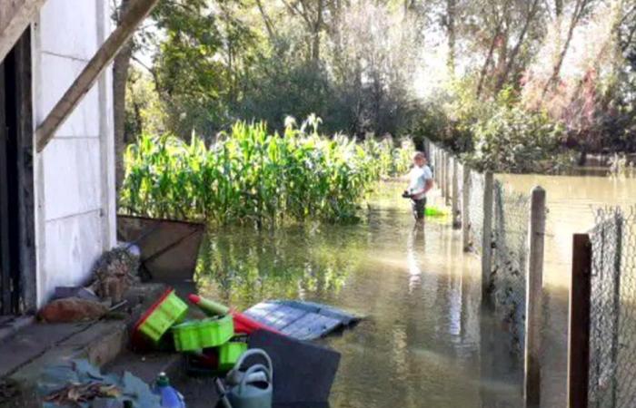 Después de once inundaciones en un año, el hartazgo de estos jardineros, que piden 30.000 euros de indemnización