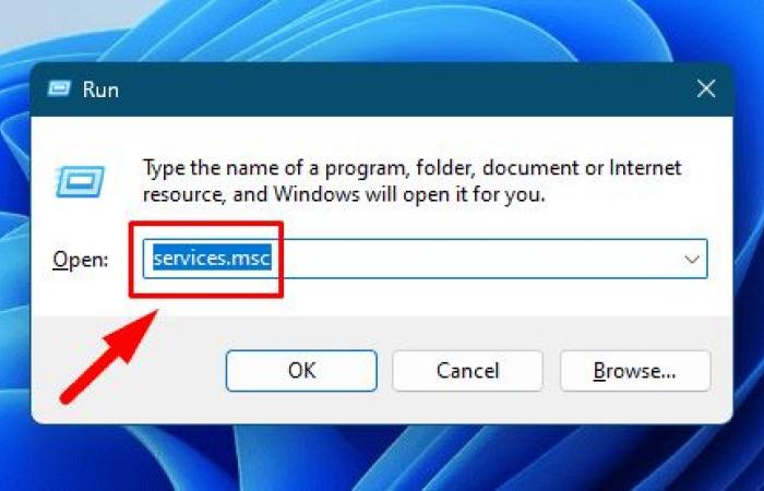 No se puede encontrar la dirección DNS en Windows 11