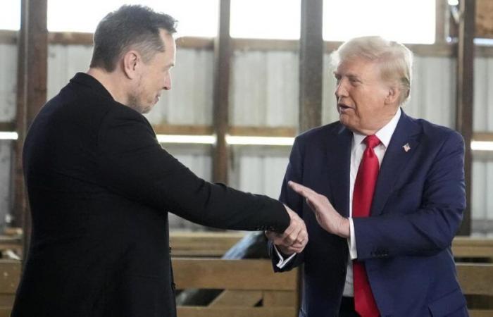 Donald Trump nombra a Elon Musk para dirigir el nuevo ministerio de “eficiencia gubernamental” – rts.ch