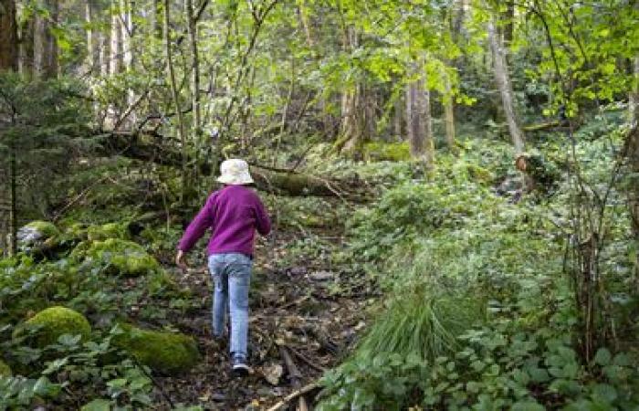 Un informe advierte sobre el surgimiento de una generación de niños aislados de la naturaleza