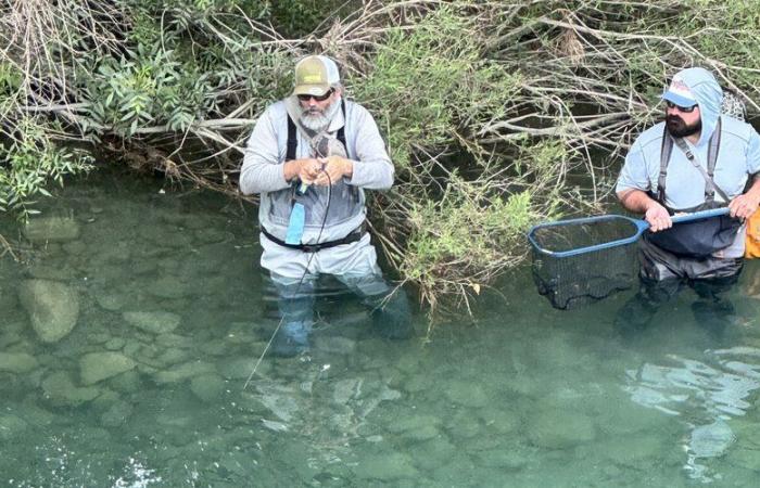 “Es un proyecto que tengo desde hace unos diez años…” desde Aveyron hasta España, con “¡Aragón!” por Cyril Kamir