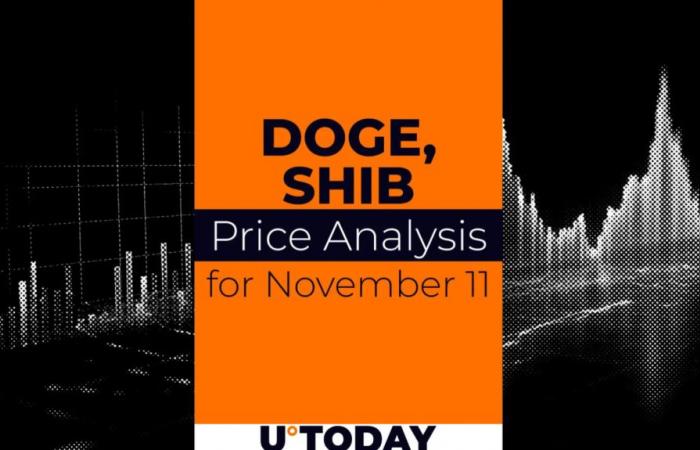 Predicción de precios de DOGE y SHIB para el 11 de noviembre