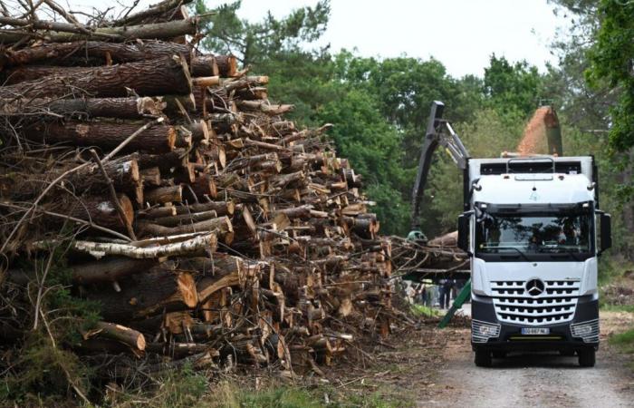 Tormenta Ciarán. ¿Qué ayuda financiera en La Mancha?