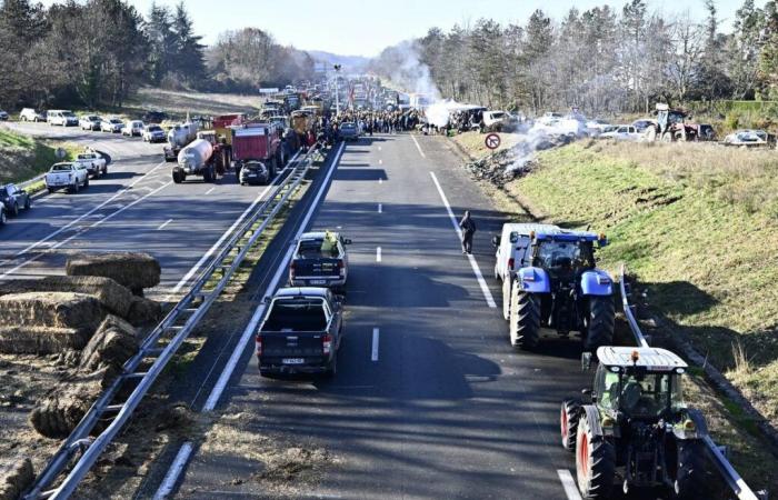 Con el acuerdo UE-Mercosur, ¿la “revuelta agrícola” está a punto de estallar?