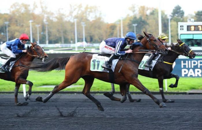 Long Island gana con Mathieu Mottier este martes en Vincennes