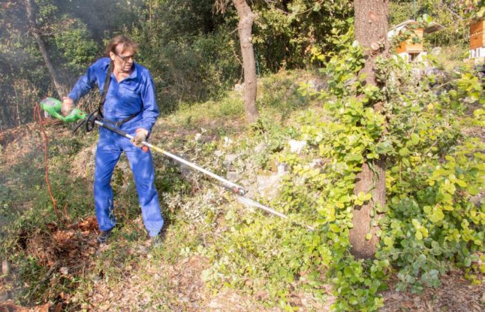 Drome. La obligación de desbrozar se exige en 242 municipios, lo que se arriesga en caso de incumplimiento