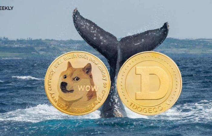 El explosivo regreso de Dogecoin: ¿$0,41 hoy, $2,40 mañana?