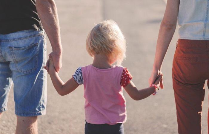 Defensa de los “valores tradicionales”, lucha contra el declive demográfico: los diputados rusos adoptan una ley para prohibir la promoción de la vida sin niños