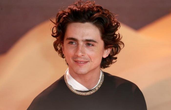 Timothée Chalamet admite haber sido víctima de “body shaming”