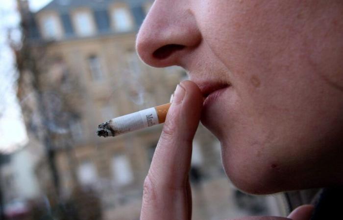 “Sería muy buena idea que estuviera disponible en Francia”, afirma un especialista en tabaco