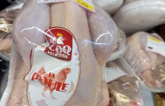 Precio de gallinas ponedoras – Cotización realizada el 8 de noviembre de 2024