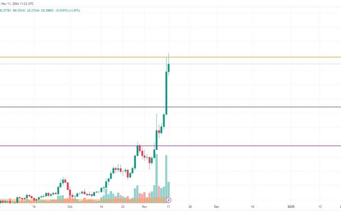 Predicción de precios de DOGE y SHIB para el 11 de noviembre