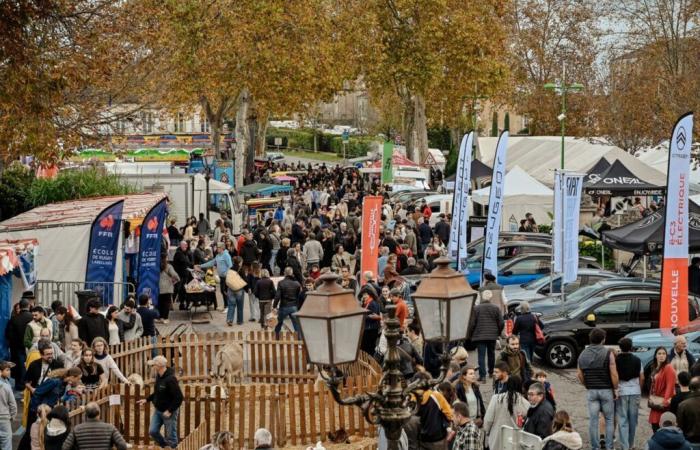 Esta pequeña ciudad del Gers multiplicó su población por 12 en un fin de semana, así es como