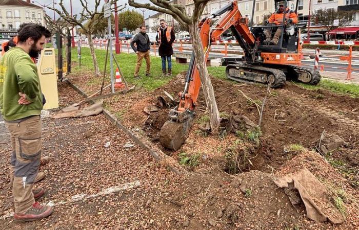 Villeneuve-sur-Lot: árboles arrancados de raíz para avanzar unos metros más