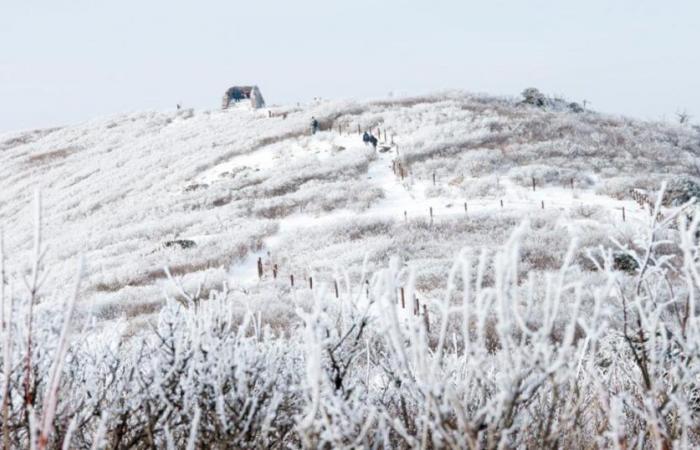 Ambiente invernal, ¿dónde hará más frío esta semana?