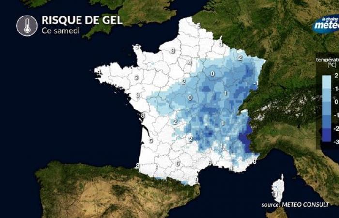 Primeras heladas tardías de esta semana: ¿qué regiones se verán afectadas?