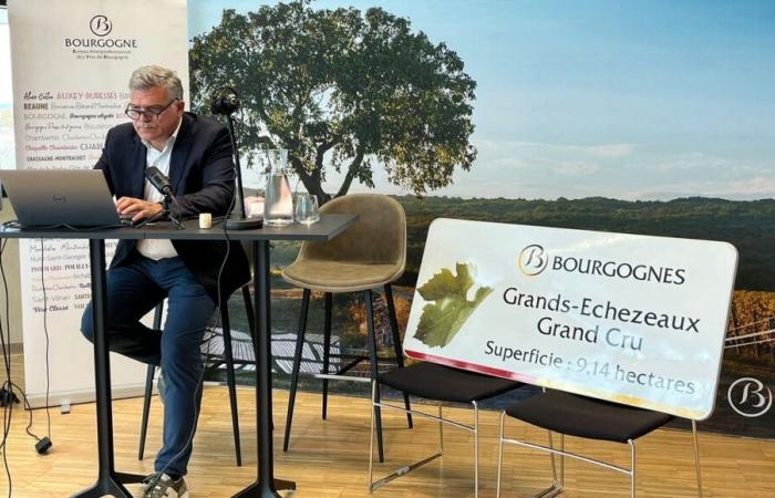 Côte-d’Or: un cartel de denominación de origen “Grand Cru” vendido por 3.500 euros