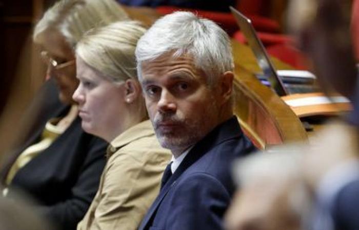 Por qué el anuncio de Laurent Wauquiez irrita al gobierno