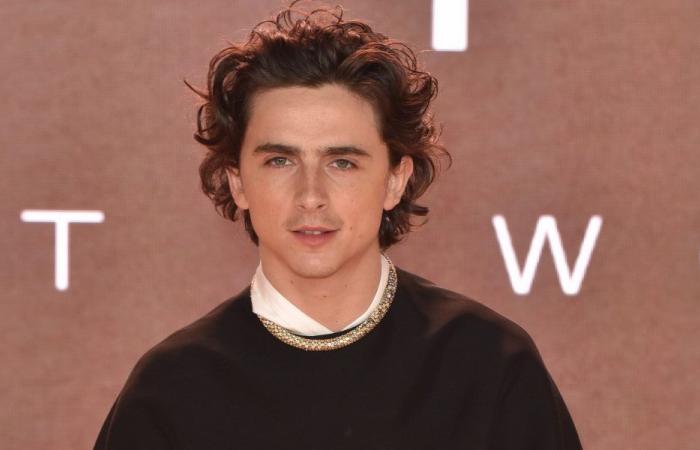 Timothée Chalamet revela que le aconsejaron ganar peso para conseguir más papeles