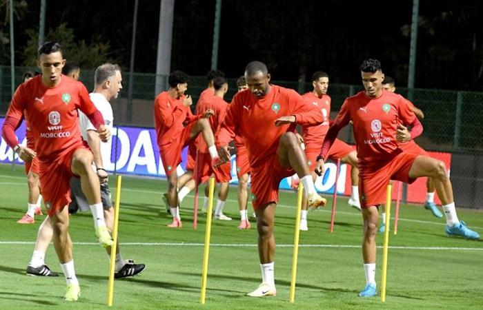 Los Leones del Atlas continúan entrenando