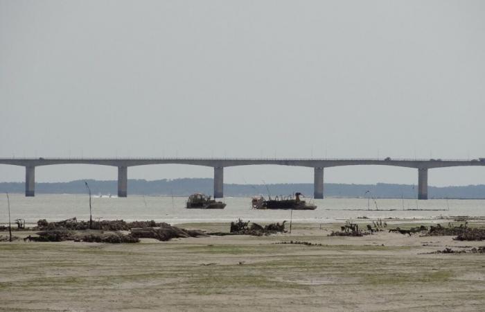 ¿hacia el final del acceso gratuito al puente de Oléron?