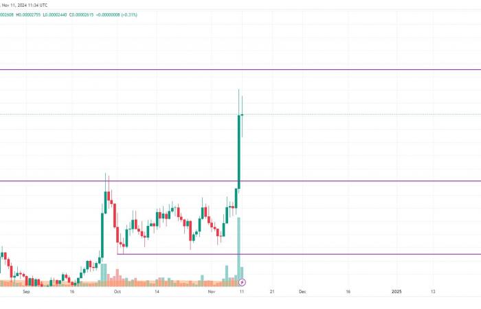 Predicción de precios de DOGE y SHIB para el 11 de noviembre